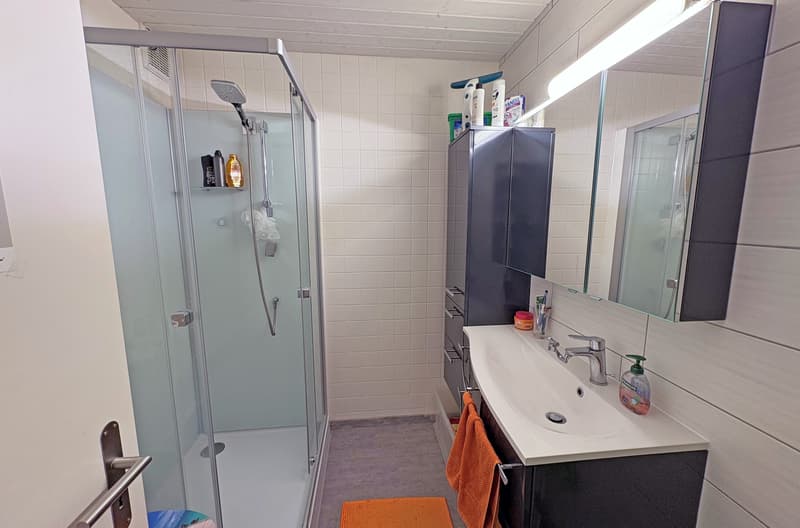 Wohnhaus mit zwei Wohnungen in Münchenwiler... (5)