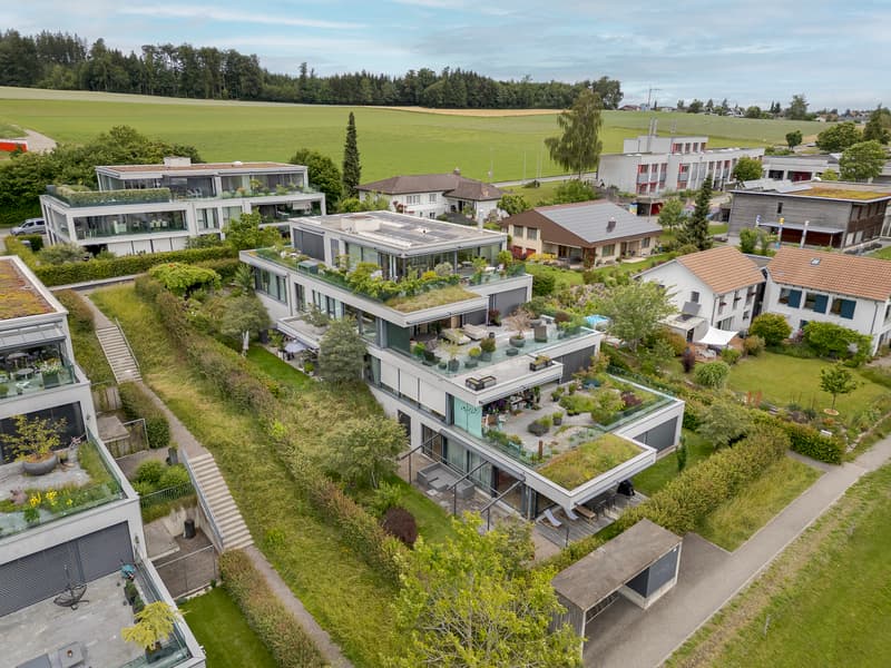 "Gartenwohnung - Meikirch" (11)