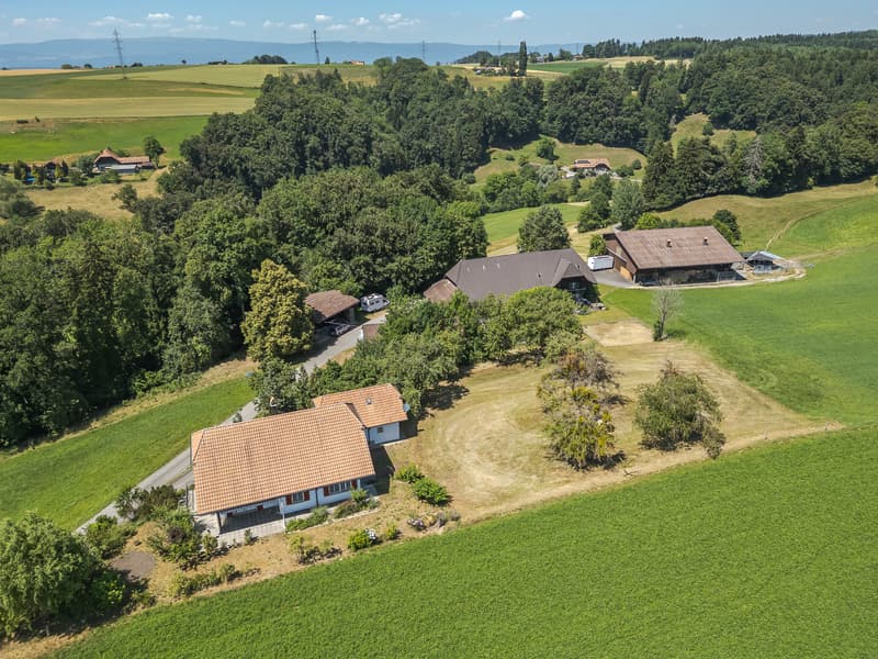 "Kleiner Landwirtschaftsbetrieb mit diversen Gebäuden - Rosshäusern" (1)