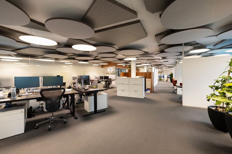 Open office layout with multiple workstations, desks, and computers. Suspended circular lighting fixtures on the ceiling. Storage cabinets and a plant visible in the background.