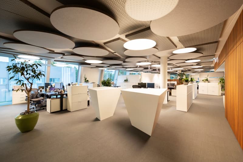 Open-plan office space with modern, minimalist design. White desks and furniture, circular lighting fixtures on the ceiling, and potted plants throughout the space. Large windows provide natural light and a view of the outdoors.