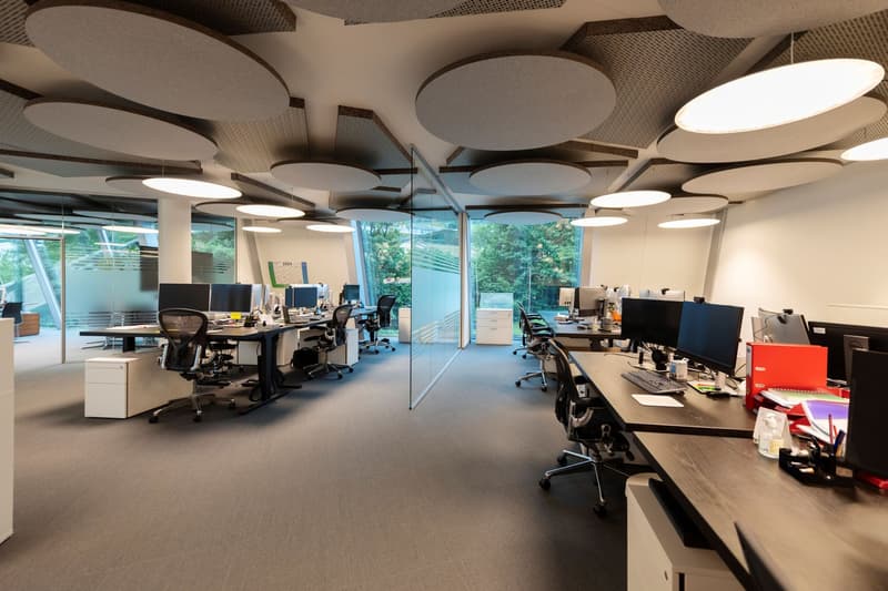 Open office layout with multiple workstations, large windows providing a view of the surrounding greenery, circular acoustic panels on the ceiling, and various office equipment and supplies.