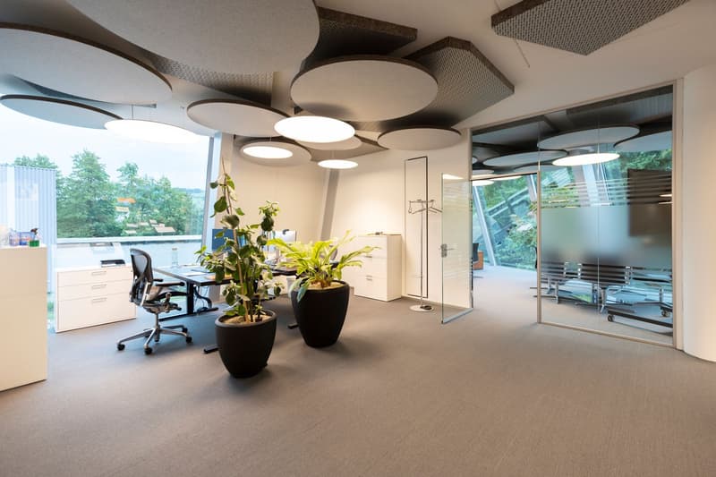Spacious modern office with large windows providing a scenic view, circular lighting fixtures, potted plants, office desks and chairs, and a glass door leading to an outdoor area.