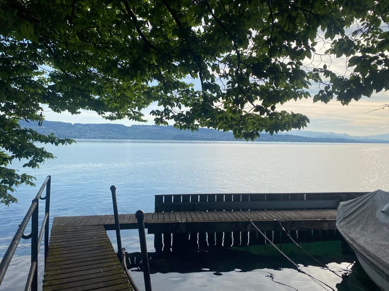Vielseitiger Gewerberaum direkt am Zürichsee (8)
