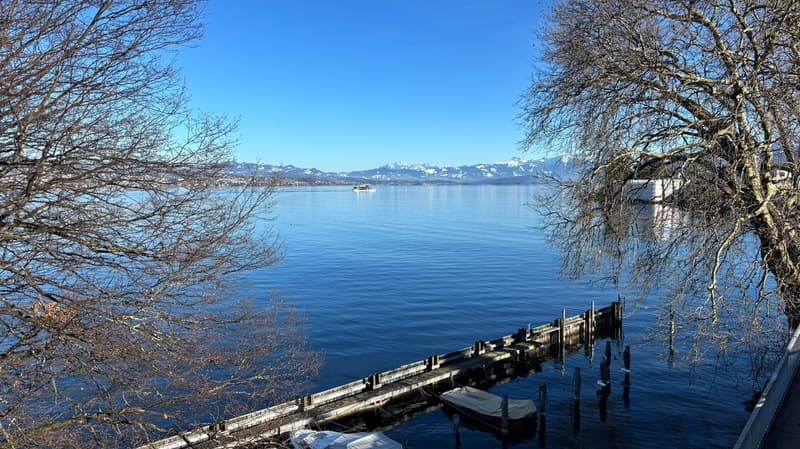 Attraktiver Büroraum direkt am Zürichsee (6)