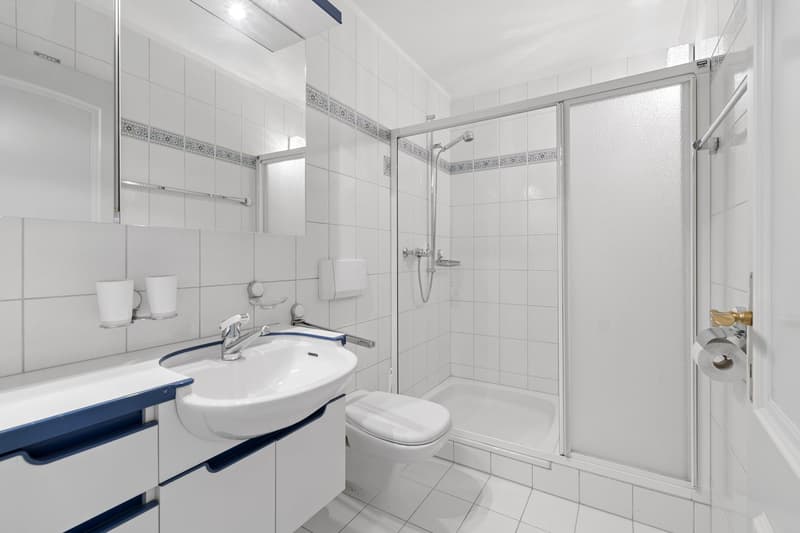 Nicht ganz eine Wohnung, nicht ganz ein Haus – Charmante 4.5-Zimmer-Maisonettewohnung (5)