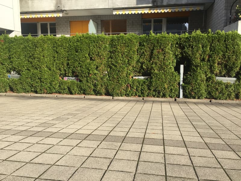 Im Zentrum von Wollerau (1)