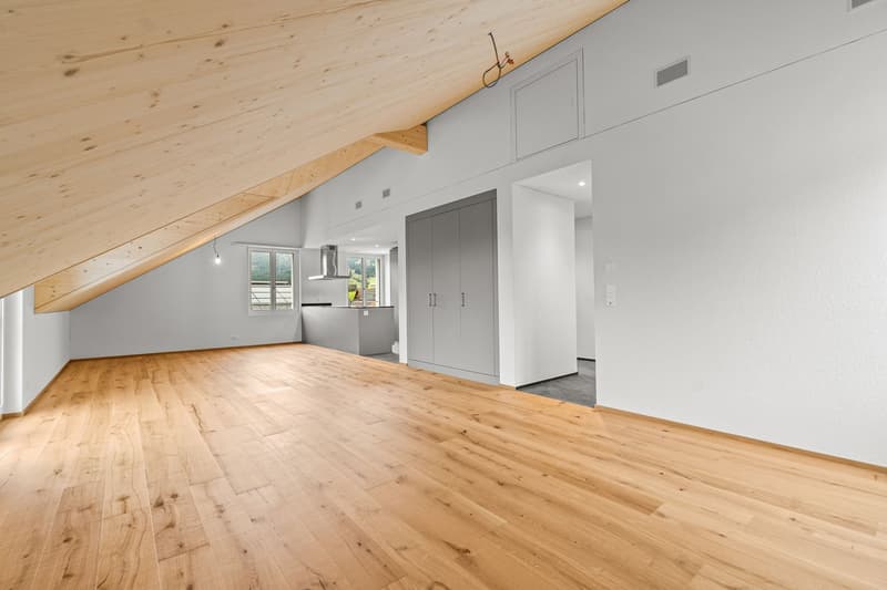 Neubau, letzte Wohnung - Ihre neue Bleibe oder als Ferienwohnung (5)