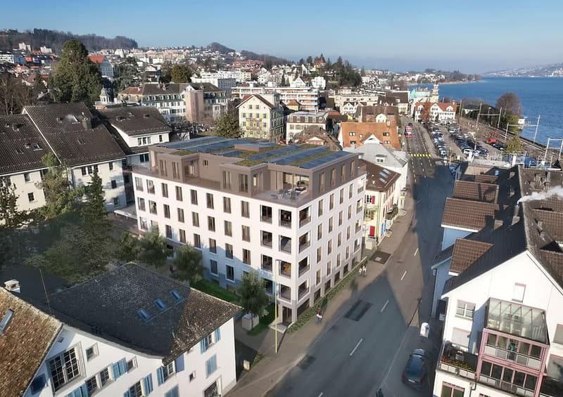 Erstbezug – stilvolle 3.5-Zimmer-Neubauwohnung in Wädenswil (1)