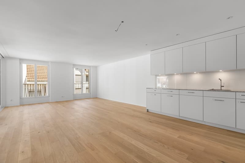 Erstbezug – stilvolle 3.5-Zimmer-Neubauwohnung in Wädenswil (3)