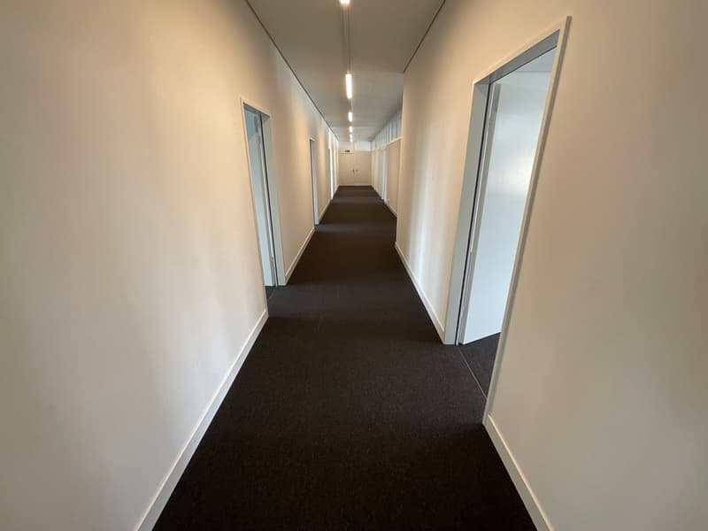 Helles Büro mit 6 Zimmern an der Motorenstrasse in Wetzikon ZH (7)