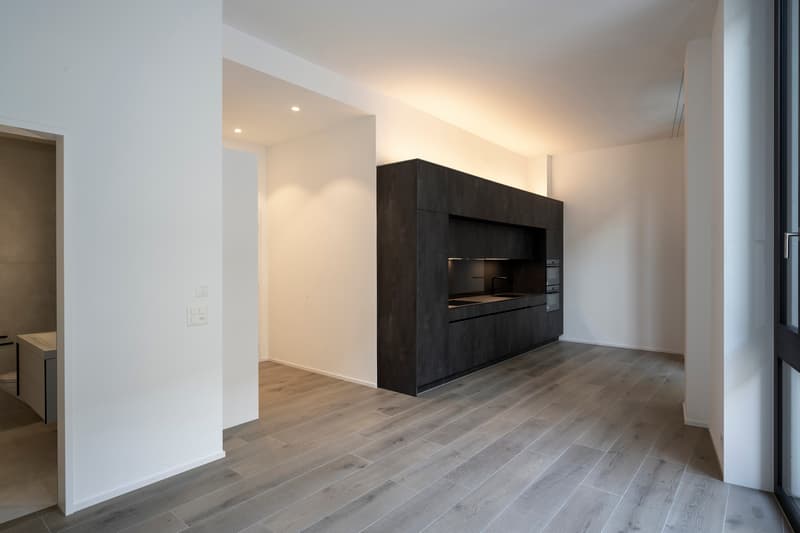 2.5 Zimmer Stadtwohnung 1.OG in Zürich, modern und ruhig gelegen (3)