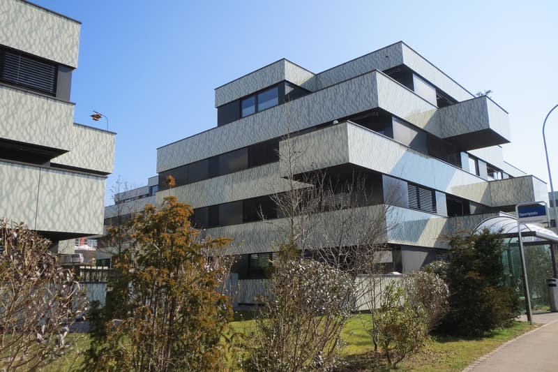 3.5 Zimmerwohnung an ruhiger Lage in Hinwil (1)