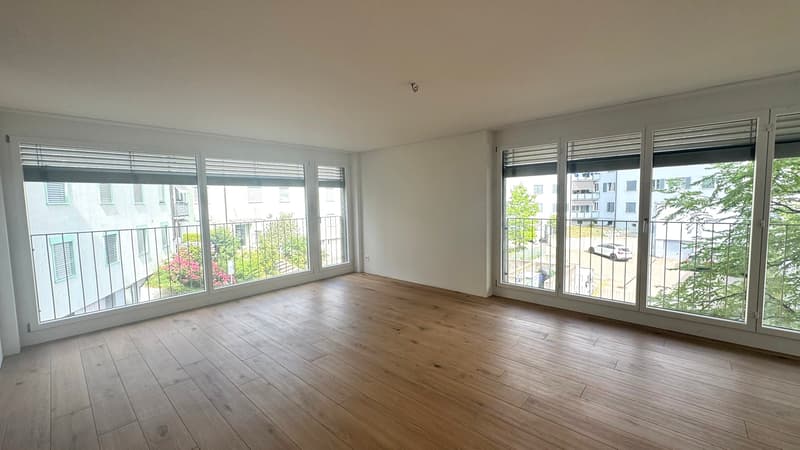 Neue 2.5 ZImmerwohnung zentral gelegen in Wetzikon (3)