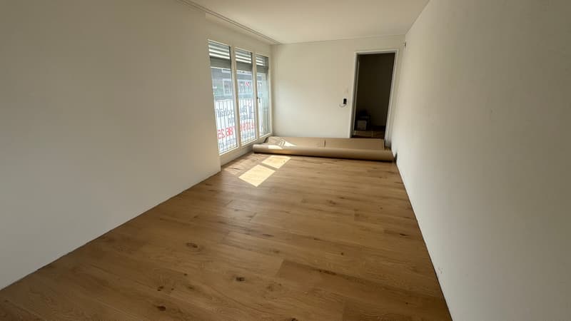 3.5 Zimmerwohnung inmitte Wetzikon (1)