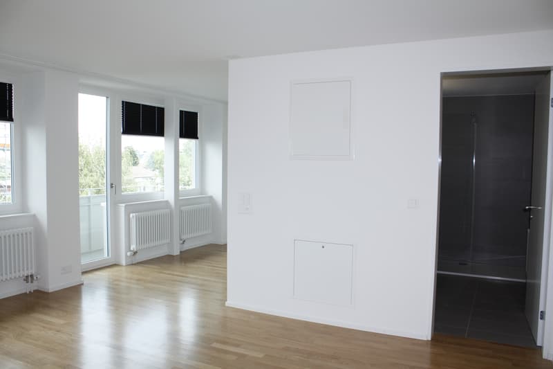 Moderne 1.5 Zimmerwohnung mit Balkon (6)