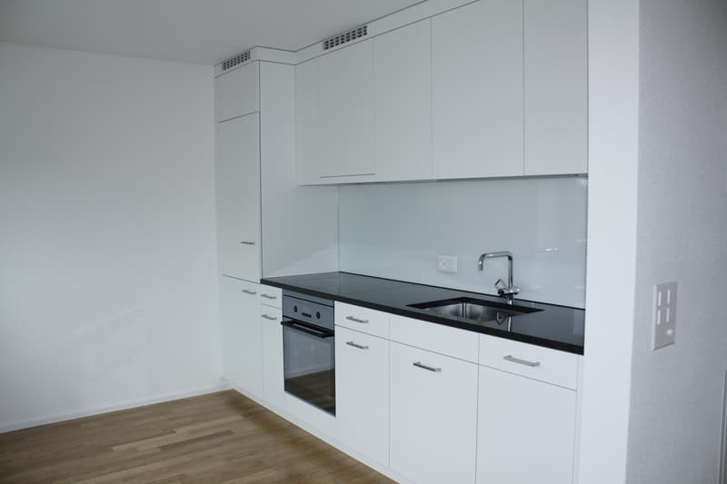 Moderne 1.5 Zimmerwohnung mit Balkon (3)