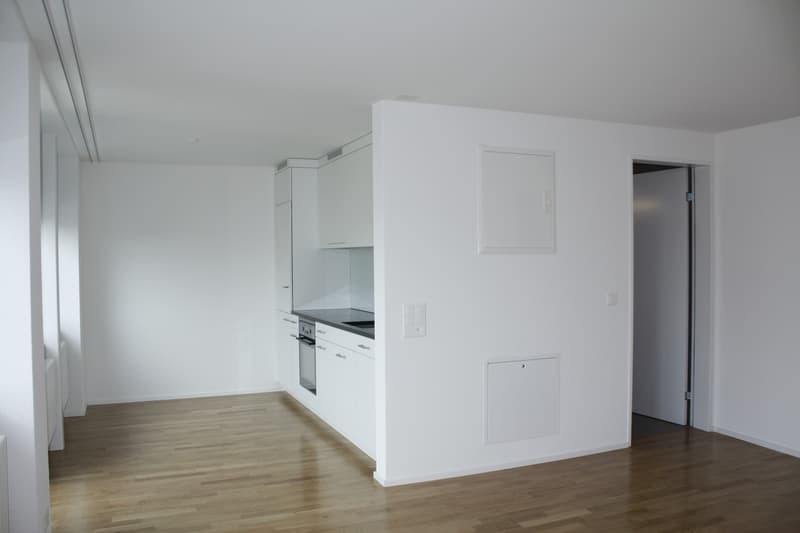 Moderne 1.5 Zimmerwohnung mit Balkon (2)