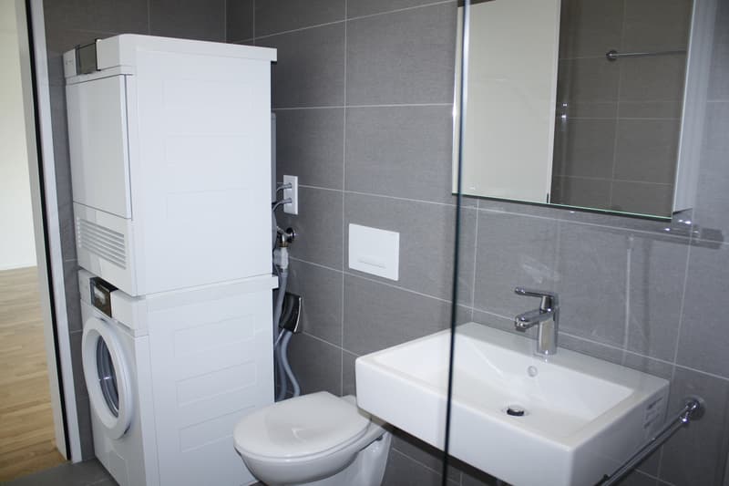 Moderne 1.5 Zimmerwohnung mit Balkon (8)
