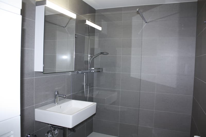 Moderne 1.5 Zimmerwohnung mit Balkon (7)