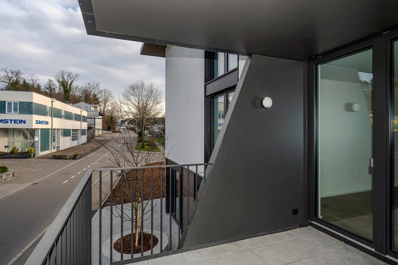 2.5 Zimmerwohnung NEUBAU 2024 (8)
