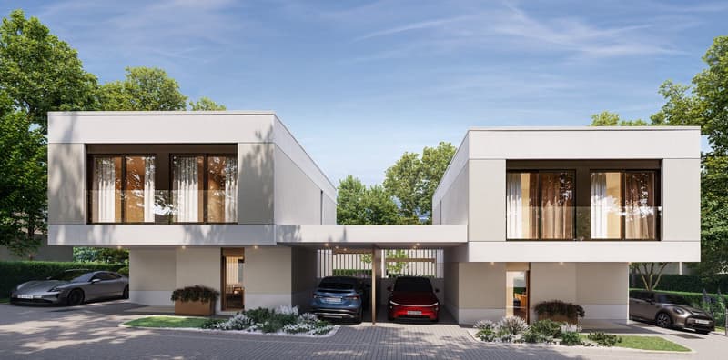 Deux villas contemporaines à Vésenaz (6)