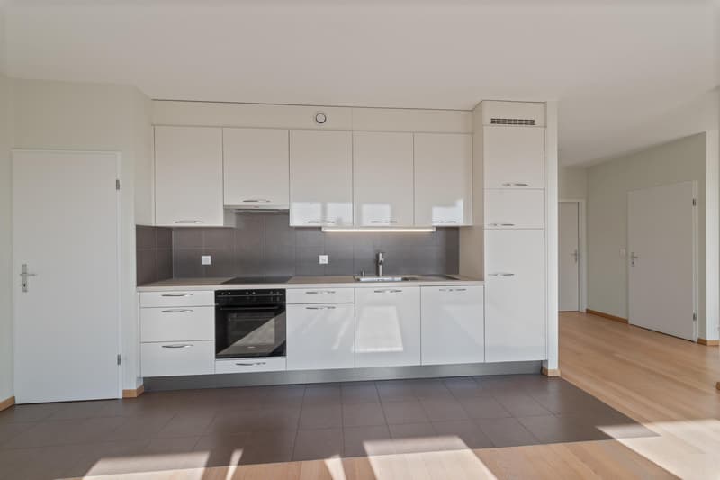 Exclusivité : Spacieux attique de 4 pièces avec grande terrasse et balcon (7)