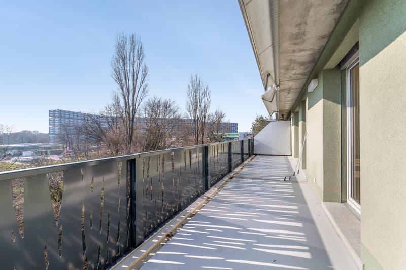 Exclusivité : Spacieux attique de 4 pièces avec grande terrasse et balcon (1)