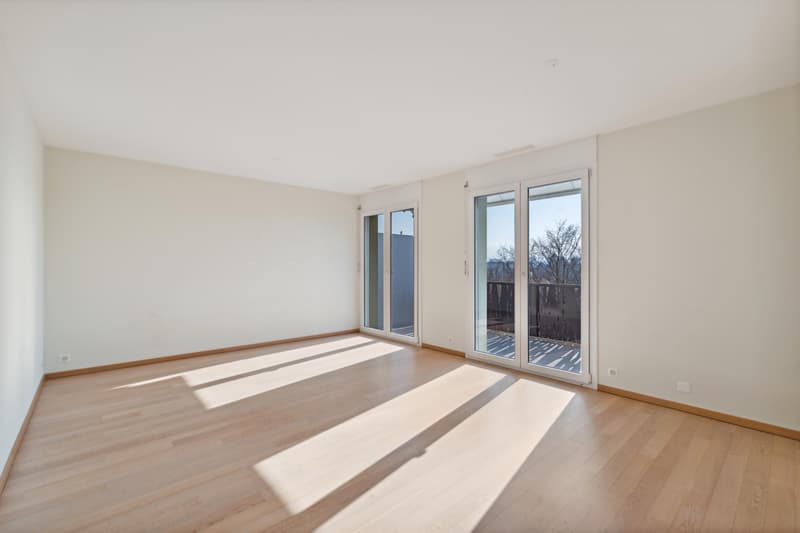 Exclusivité : attique traversant de 5 pièces avec généreuse terrasse et balcon (7)