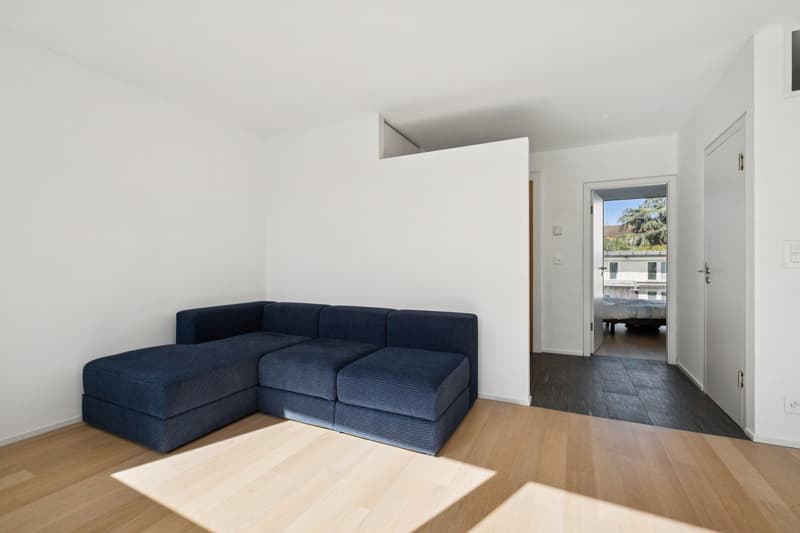 Exclusivité ! Bel appartement contemporain avec terrasse au centre ville (4)