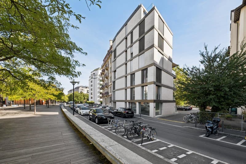 Exclusivité ! Bel appartement contemporain avec terrasse au centre ville (13)