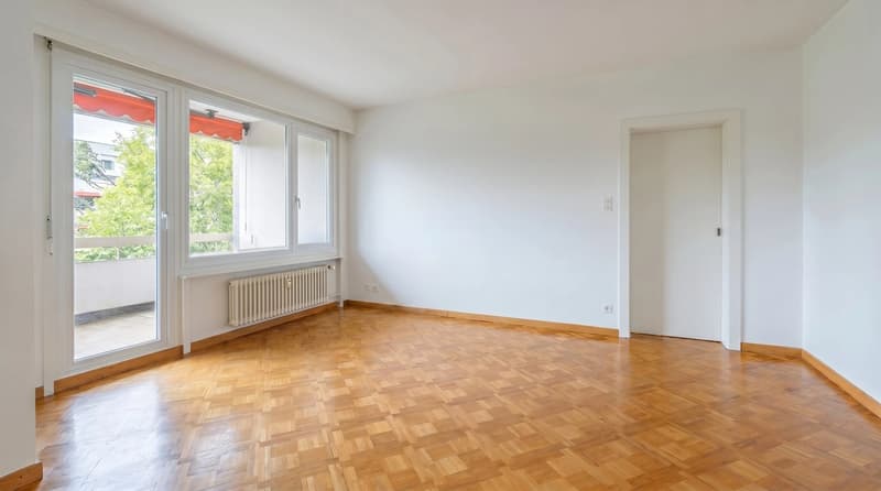 Champel - appartement traversant, étage élevé (3)