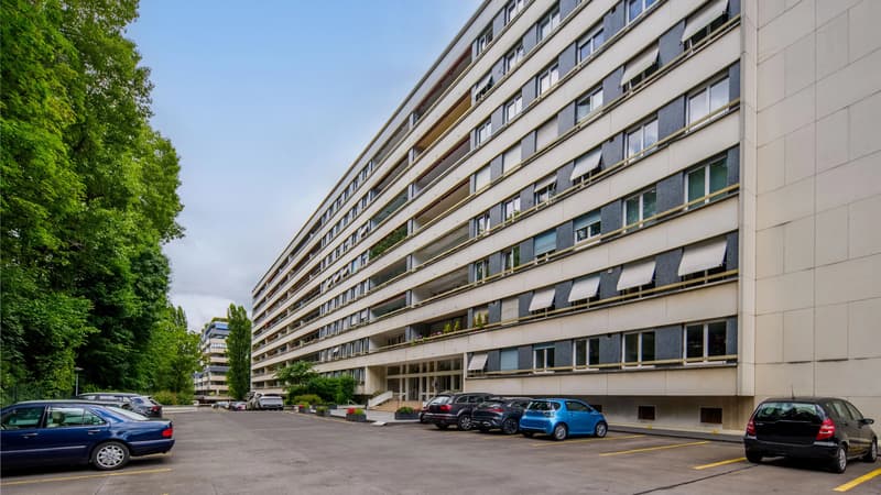 Champel - appartement traversant, étage élevé (11)