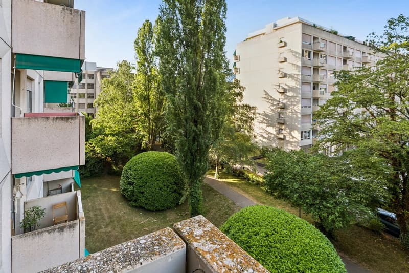 Exclusivité : Champel - appartement traversant, calme et recherché (11)