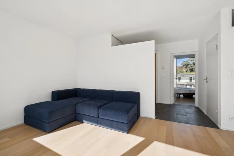 Exclusivité ! Bel appartement contemporain avec terrasse au centre ville (4)