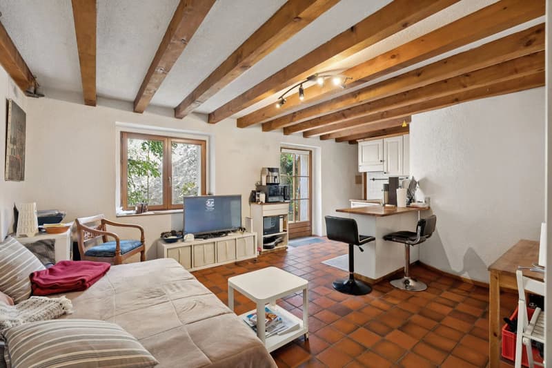 Maison villageoise : 4 logements  loués et 1 arcade - fort potentiel (6)