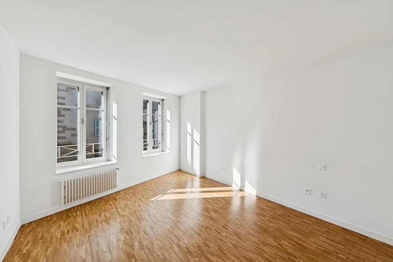 PLEIN CENTRE DE GENÈVE ? RUES BASSES ? ÉLÉGANT DUPLEX AVEC ASCENSEUR (8)