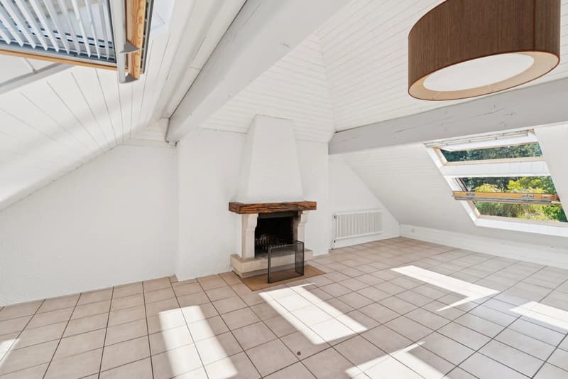 En exclusivité / Ravissante maison familiale en pignon avec vue sur le lac (11)