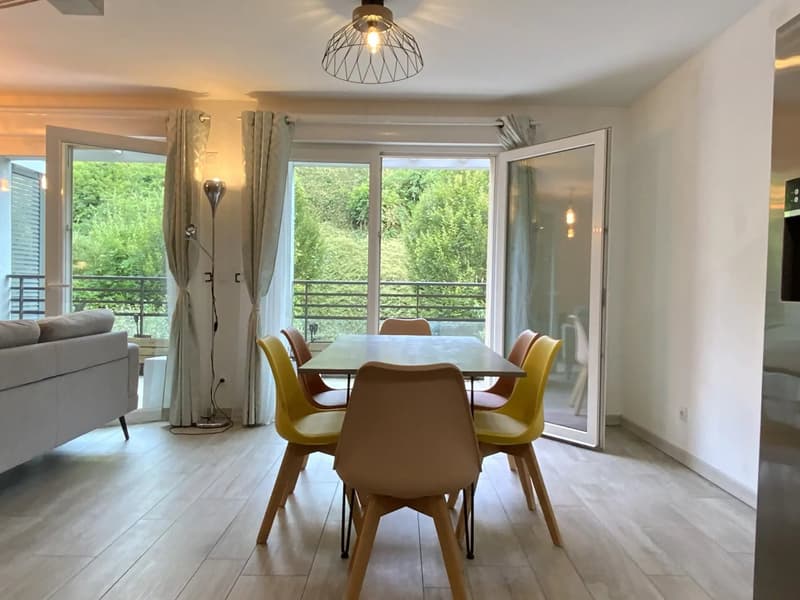 À louer ? 4 pièces meublé - terrasse - vue Salève - Bossey - 15mn Genève (5)