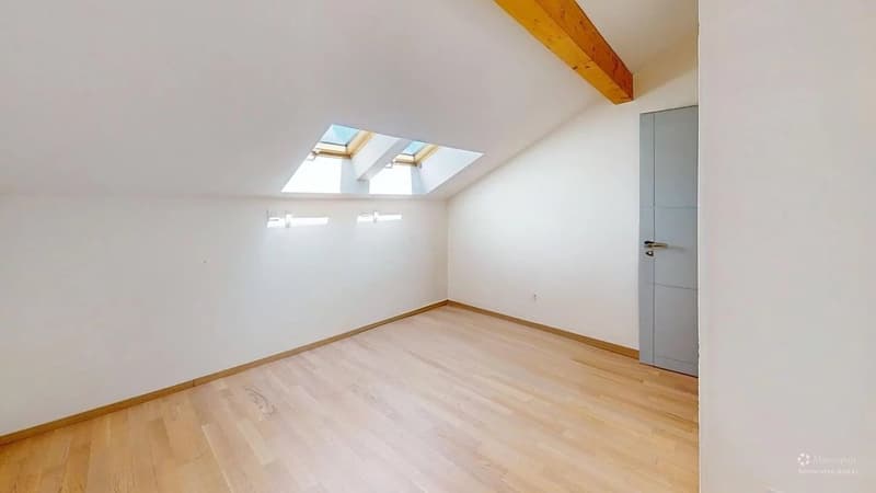 À louer ? 4 pièces meublé - terrasse - vue Salève - Bossey - 15mn Genève (8)