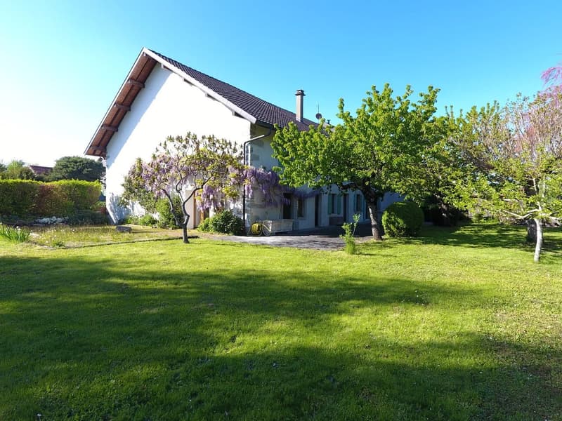 Ferme rénovée idéalement placée - Coeur de Village, Feigères (9)