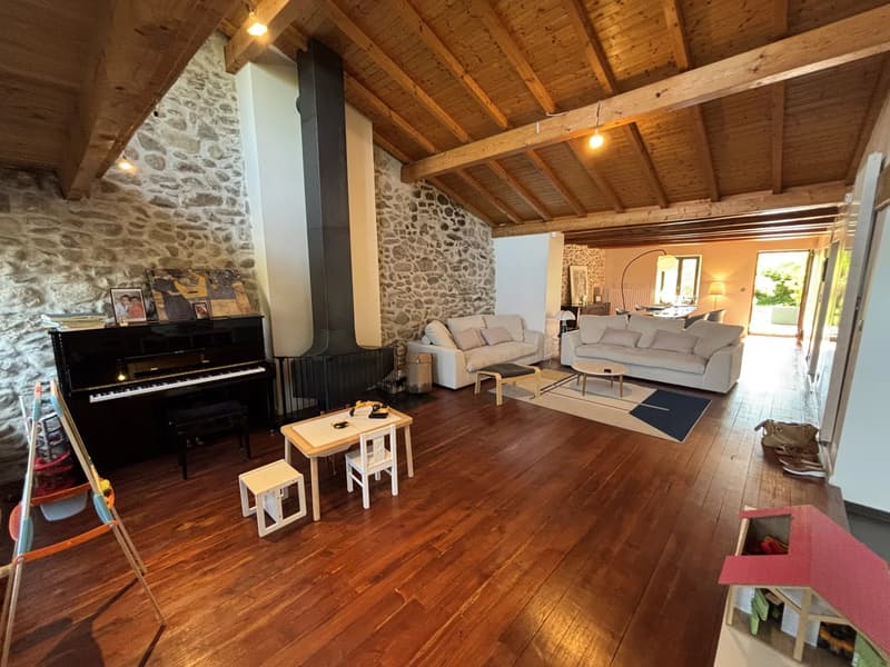 Ferme rénovée idéalement placée - Coeur de Village, Feigères (2)