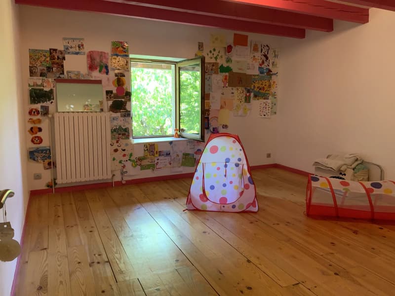 Ferme rénovée idéalement placée - Coeur de Village, Feigères (7)