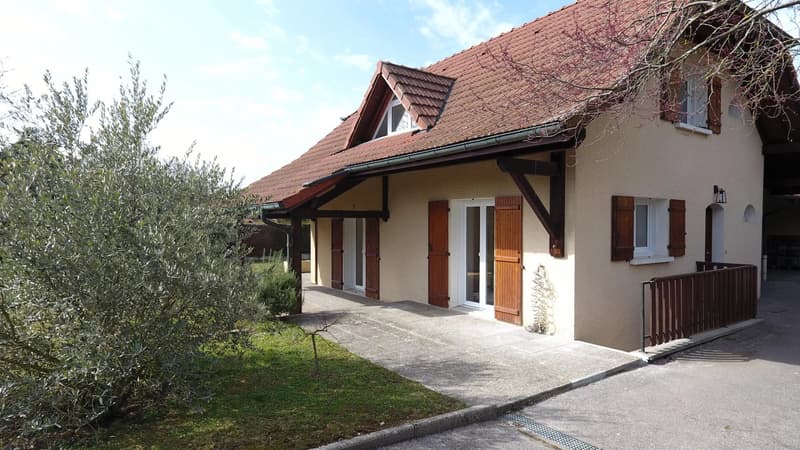Superbe Villa Individuelle - Chens sur Leman (9)