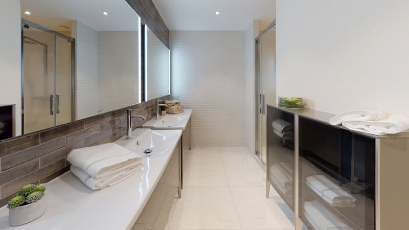 Penthouse de 220m2, prestigieux et en attique, à Divonne-les-Bains (9)