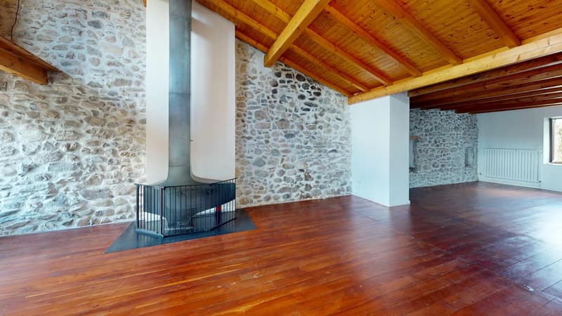 Ferme rénovée idéalement placée - Coeur de Village, Feigères (5)