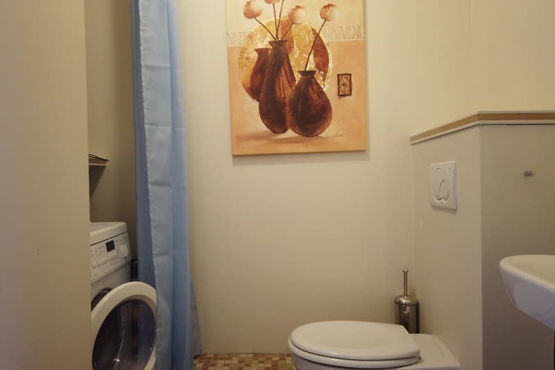 Appartement avec terrasse - Collonges sous salève (7)
