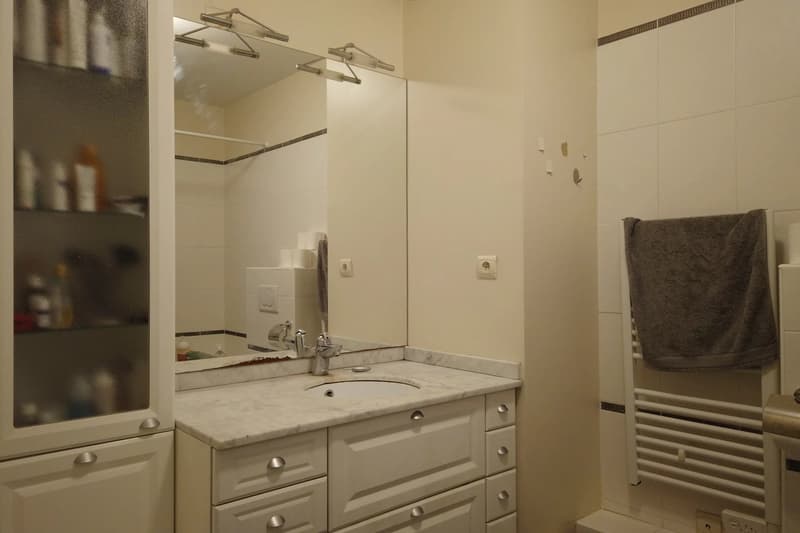 Appartement avec terrasse - Collonges sous salève (5)