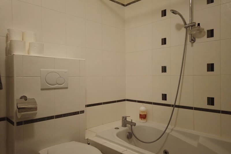 Appartement avec terrasse - Collonges sous salève (6)