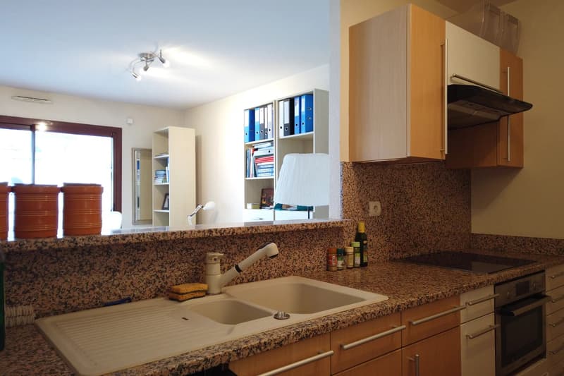Appartement avec terrasse - Collonges sous salève (3)